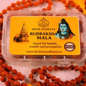 Rudraksha Mala(in box)